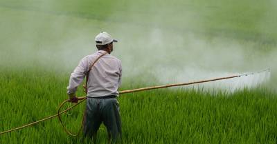 The Hidden Truth About Glyphosate Exposed, According to Undeniable Scientific Evidence